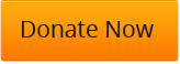donate-now